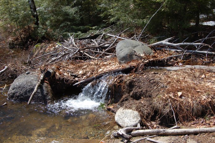 Besichtigung April 2015 (9)